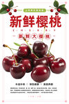樱桃