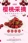樱桃