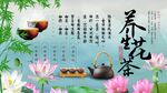 养生花茶背景墙