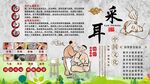 采耳背景墙