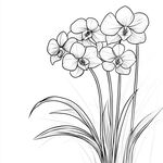 素描线描兰花