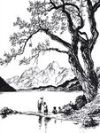新西兰插画线稿水墨