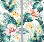 芭蕉叶热带雨林