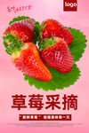 草莓