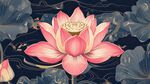 荷花包装插画