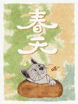 春天慵懒的小猫
