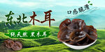 黑木耳海报