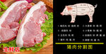 猪肉分割图
