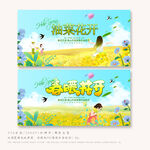 油菜花