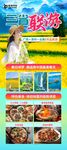 广西云南贵州春游行程展架