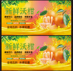 沃柑