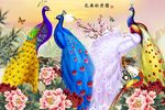 孔雀牡丹图