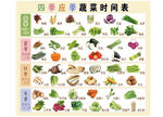 四季蔬菜表