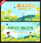 油菜花