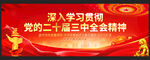 学习贯彻党的二十届三中全会精神