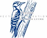 啄木鸟