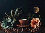 月夜下的咖啡与绿植花卉
