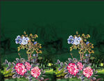 定位花