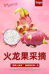火龙果