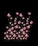 定位花
