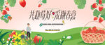 草莓采摘活动