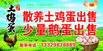 土鸡蛋