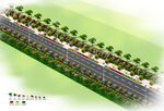 道路绿化效果图