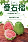 番石榴