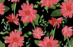 手绘花