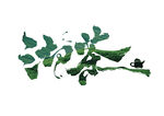 沏茶