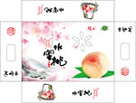 开窗水蜜桃平面展开图