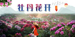 牡丹  