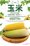 玉米