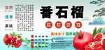 番石榴背景墙