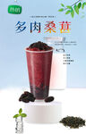 多肉桑葚