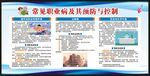 职业病防治法宣传周宣传栏
