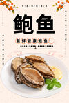 鲍鱼