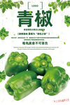 青椒