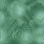 热带植物叶