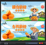 脐橙