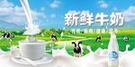 牛奶海报