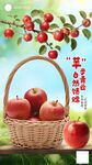 苹果海报