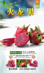 火龙果 