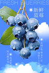蓝莓