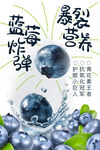 蓝莓