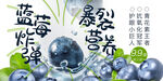 蓝莓