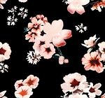 手绘花