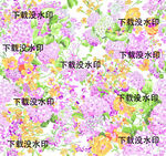绣球花