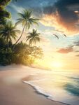 热带海滩日落美景