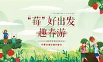 草莓采摘